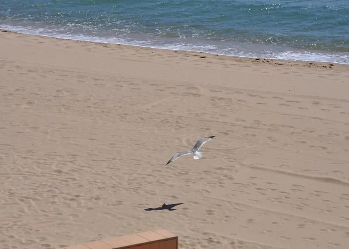 1185 Nirvana 40 - Apivend Immo רוזס